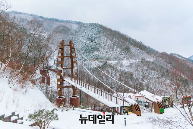 ▲ 충북 증평 좌구산 명상 구름다리.ⓒ김동식 기자