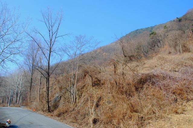 ▲ 구불구불한 염티소전로를 따라 산자락의 등산로 입구까지 오른다.ⓒ진경수 山 애호가