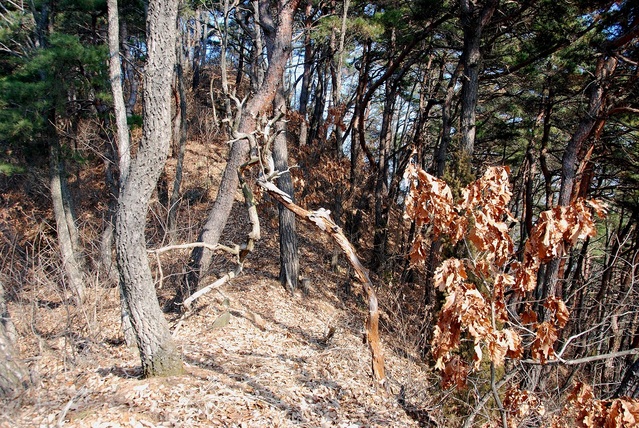 ▲ 두 번째 봉우리를 넘어서 완만한 산길이 이어진다.ⓒ진경수 山 애호가