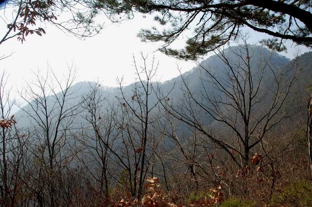 ▲ 하행하면서 바라 본 샘봉산 산등성이.ⓒ진경수 山 애호가