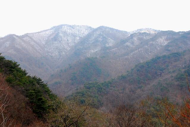 ▲ 눈 덮인 좌구산 산등성이.ⓒ진경수 山 애호가