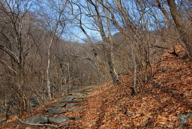 ▲ 하행하면서 바라 본 좌구산.ⓒ진경수 山 애호가