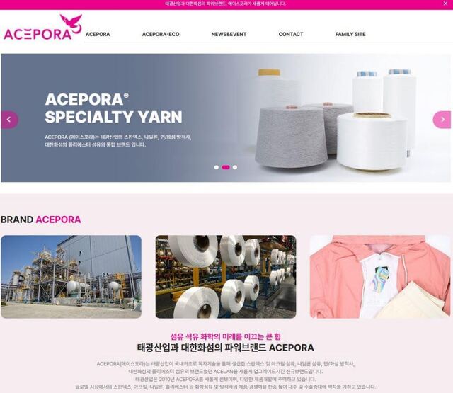 ▲ 새롭게 오픈한 에이스포라 홈페이지. ⓒ태광그룹