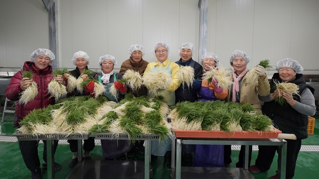 ▲ 청도군(군수 김하수)은 지난 15일 봄을 알리는 대표 나물 ‘달래’의 수확 현장인 각남면 소재 구곡달래작목반(반장 박병길)을 방문하여 농가들을 격려했다.ⓒ청도군