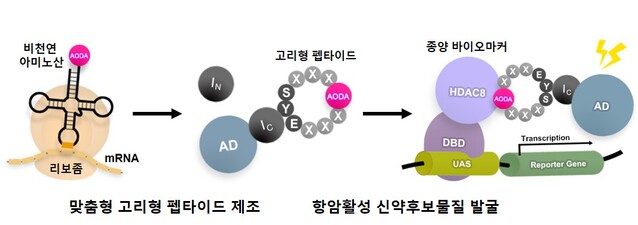▲ KAIST 박희성 교수 연구팀이 개발한 암‧치매 등 맞춤형 신약 발굴 플랫폼.ⓒKAIST