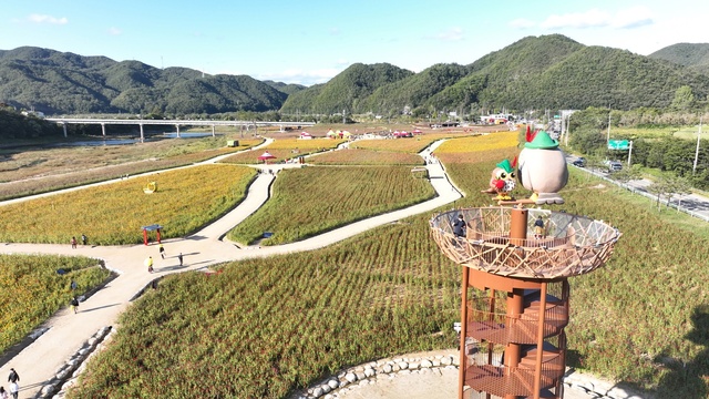 ▲ 청송군(군수 윤경희)은 맑은 공기와 깨끗한 이미지를 표현한 도시브랜드 ‘산소카페 청송군’을 내걸고, 이에 걸맞은 휴식과 힐링을 제공하는 명품 산림을 가꾸어 숲으로 잘사는 산림 르네상스 시대를 열어가기 위한 2023년 산림정책 방향을 발표했다.ⓒ청송군