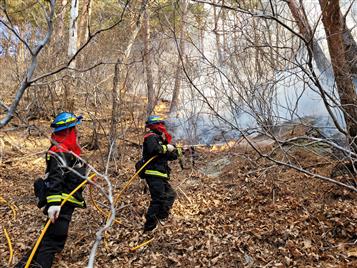 ▲ 홍성 산불 진화 장면.ⓒ산림청
