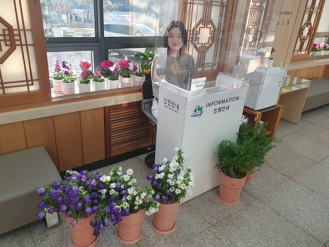 ▲ 성주군 민원실에 들어서면 별수국, 시클라멘, 캄파놀라, 연산홍의 달콤한 봄꽃향이 먼저 인사를 건넨다.ⓒ성주군