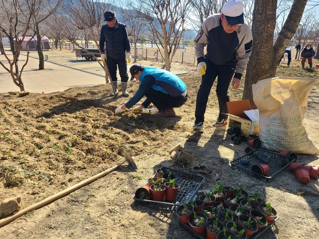 ▲ 고령군(이남철 군수) 시설사업소는  제18회 대가야축제를 맞아 대가야읍 고아리 대가야농촌체험특구와 대가야생활촌을 잇는 산책로에 수선화, 상사화, 꼬리풀 등을 식재했다.ⓒ고령군