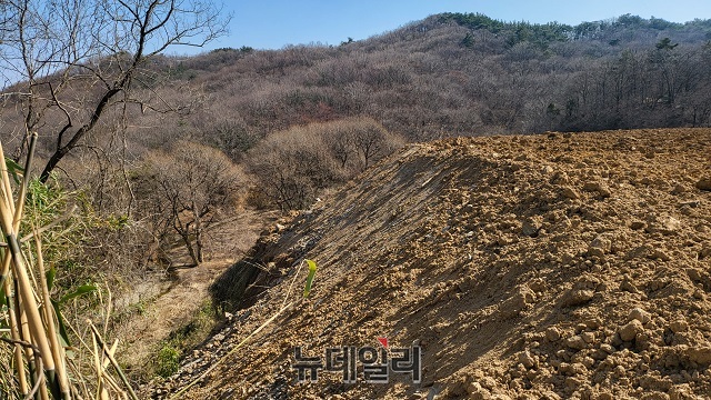 ▲ 도음산 산림문화수련장과 천곡사 중간쯤 구간에 4~5m 높이 불법 성토를 하고 있다.ⓒ뉴데일리