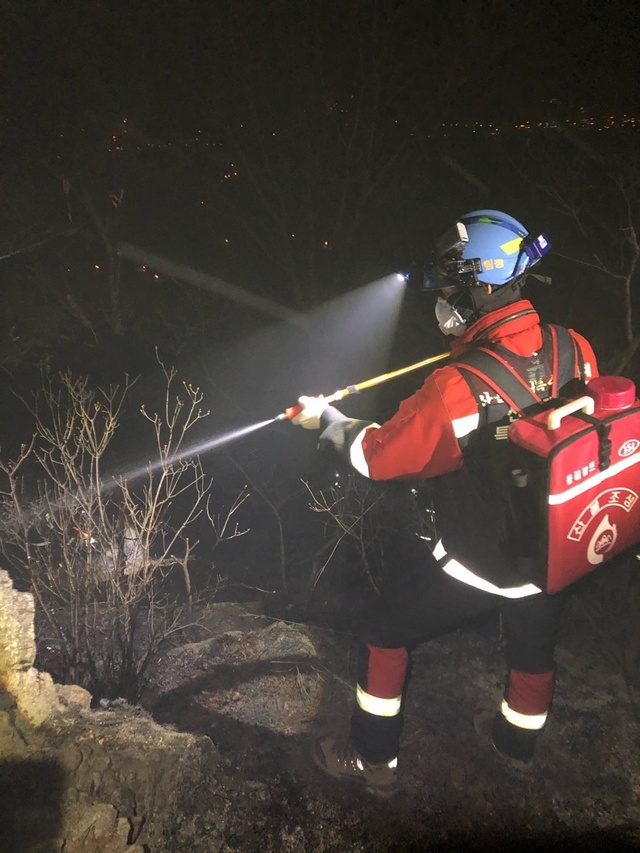 ▲ 충남 당진시 석문면 교로리 야간 산불 진화 현장.ⓒ산림청