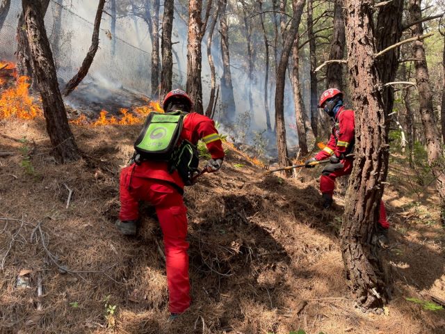 ▲ ⓒ산림청 중앙산불방지대책본부