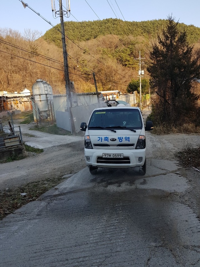 ▲ 경북도는 최근 영덕 야생 멧돼지에서 아프리카돼지열병(African Swine Fever, ASF) 바이러스가 검출됨에 따라 추가 발생을 막기 위한 농장 차단방역에 총력을 기울인다.ⓒ경북도