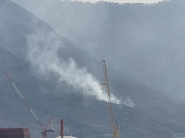 ▲ 11일 오후 2시 35분경 남구 대명동 산196-3번지 일원에서 산불이 발생해 1시간 30여 분만인 오후 3시 59분에 주불 진화 완료됐다.ⓒ대구경북인터넷기자협