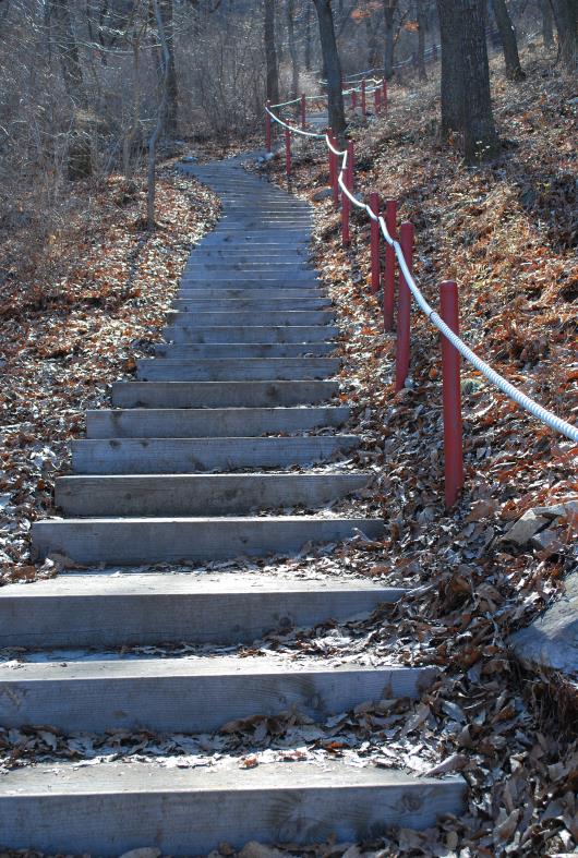 ▲ 향적산 능선으로 오르는 등산로.ⓒ진경수의 山 애호가