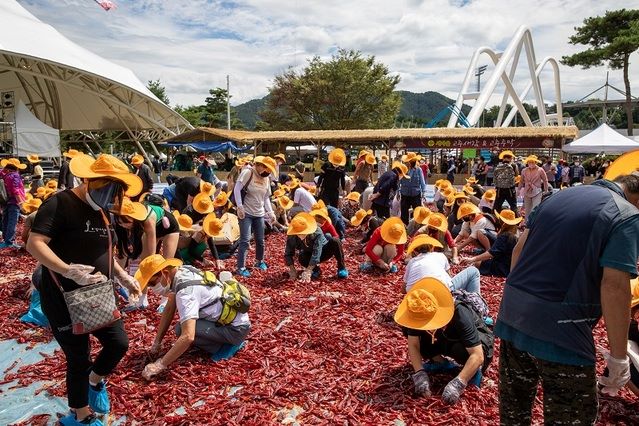 ▲ 지난해 괴산고추축제에서 진행된 ‘황금고추를 찾아라’ 장면.ⓒ괴산군