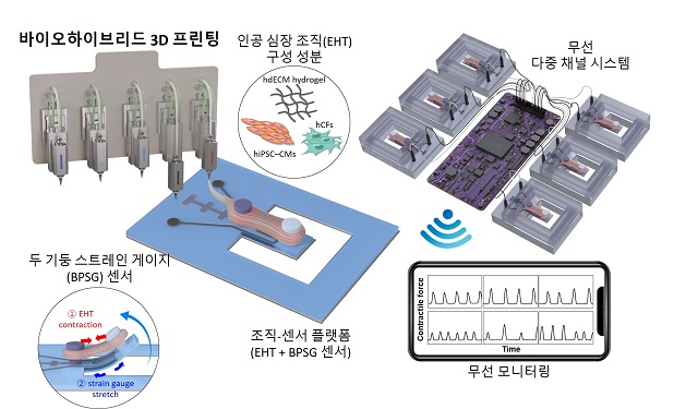 ▲ 바이오하이브리드 3D 프린팅 연구 그림.ⓒ포스텍