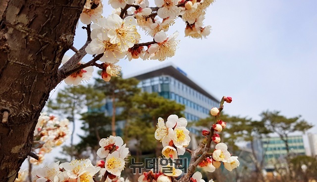 ▲ ⓒ김동식 기자