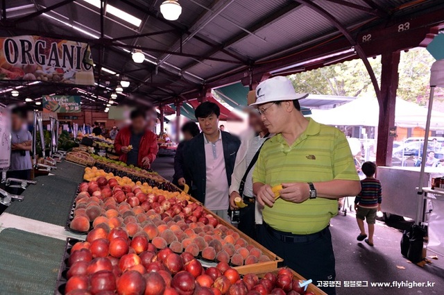 ▲ ⓒ팀블로그 고공행진