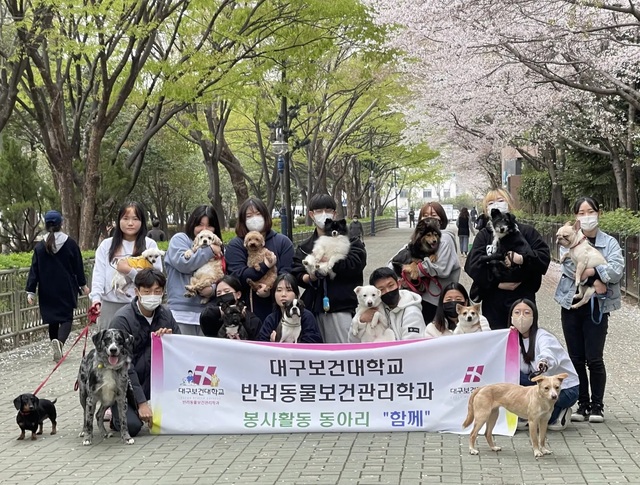 ▲ 대구보건대학교 반려동물보건관리학과 봉사활동 동아리 ‘함께’가 25일 유기견들과 본리공원에서 산책을 하고 있다.ⓒ대구보건대