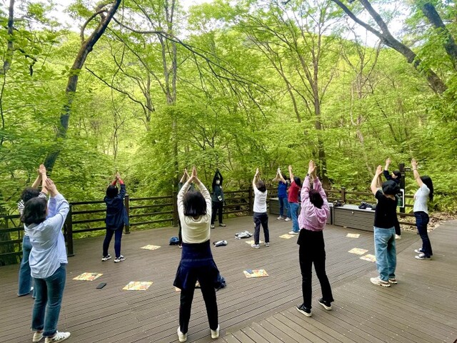 ▲ 산림과 한방을 접목한 차별화된 산림치유 프로그램을 제공하는 충북 제천시 '국립제천치유의숲'.ⓒ한국관광공사