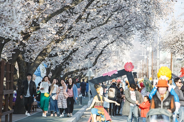 ▲ 안동시와 한국정신문화재단은 오는 4월 1일부터 5일까지 닷새간, 낙동강변 벚꽃길과 탈춤공원 일원에서 2023 안동 벚꽃축제를 개최한다.ⓒ안동시