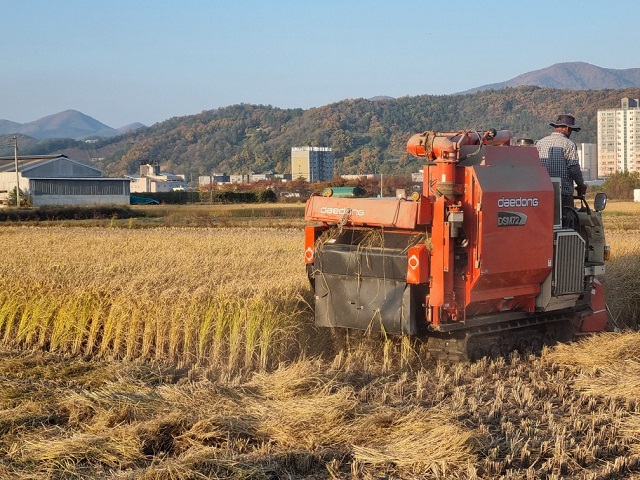 ▲ 콤바인으로 추수하는 현장.ⓒ경주시