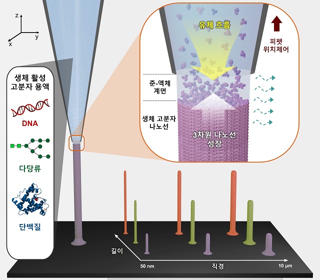 ▲ 연구 관련 사진.ⓒ포스텍