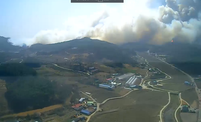 ▲ 2일 오전 11시쯤 발생한 충남 홍성 산불 현장.ⓒ산림청