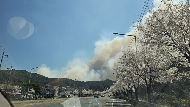 ▲ 2일 낮 12시 19분쯤 충남 금산군 복수면 지량리 산에서 발생한 산불이 대전시 서구 장태산으로 확산되고 있다.ⓒ송영훈 객원기자