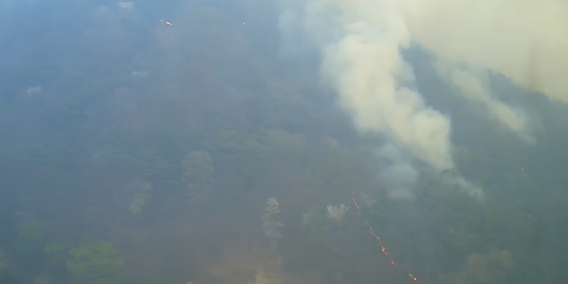 ▲ 2일 충남 금산에서 발생한 산불이 대전 장태산까지 번지고 있다.ⓒ산림청