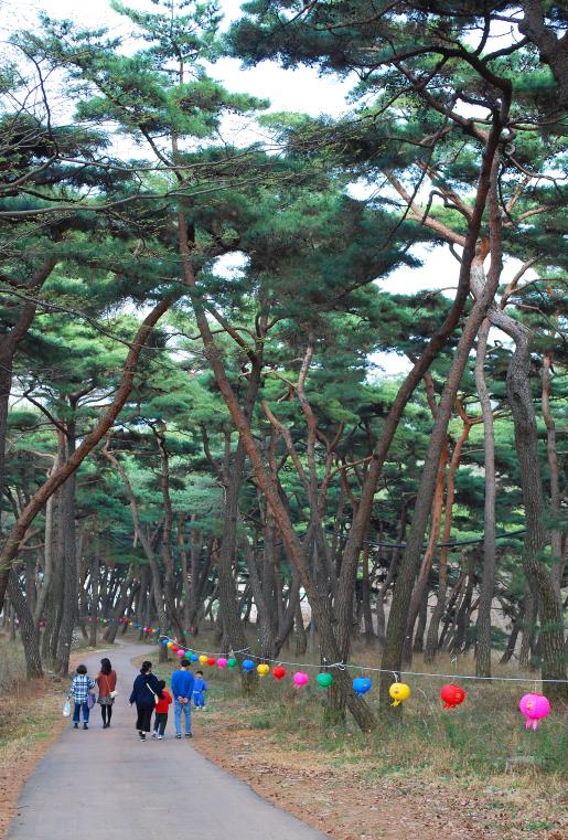 ▲ 가족단위로 즐겨 찾는 아산의 명소, 천년의 숲길.ⓒ진경수 山 애호가