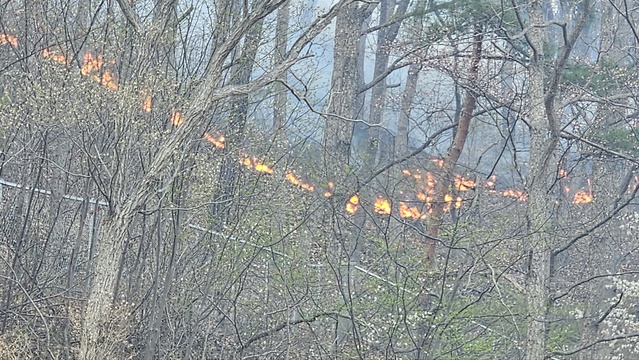 ▲ ⓒ송영훈 객원기자