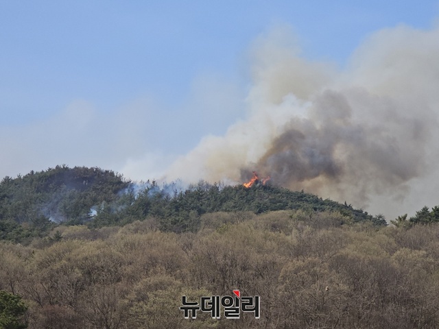 ▲ 산불 발생 이틀째 진화작업을 벌이고 있는 홍성산불.ⓒ김정원 기자