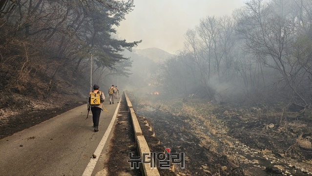 ▲ 대전 서구 산직동 산불 현장.ⓒ김경태 기자