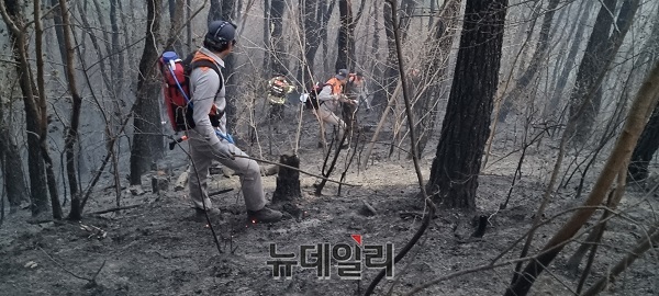 ▲ 대전 의용소방대원들이 임도가 없어 인력 접근이 어려운 급경사 지역에서 잔불처리를 하고 있다.ⓒ김경태 기자