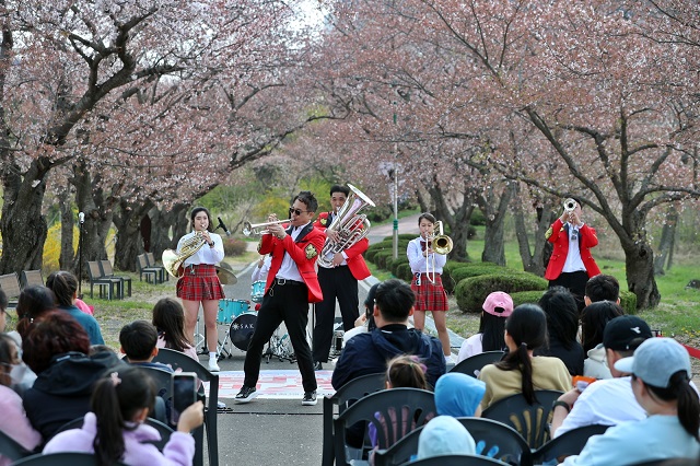 ▲ 경주엑스포대공원은 지난 주말 경주지역 벚꽃이 절정에 달하면서 나들이객들로 북적인 가운데 벚꽃 버스킹도 몰려든 관람객들로 대성황을 이뤘다.ⓒ경주엑스포