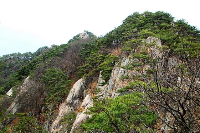 ▲ 남릉으로 하산하면서 바라본 쌀개봉 능선.ⓒ진경수 山 애호가