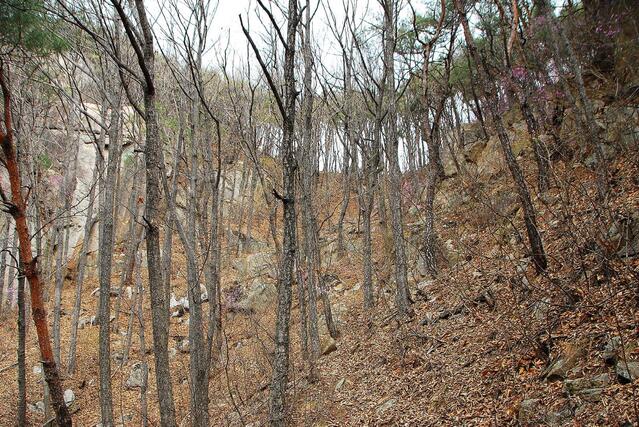 ▲ 조봉산과 쌀개봉의 안부 능선.ⓒ진경수 山 애호가