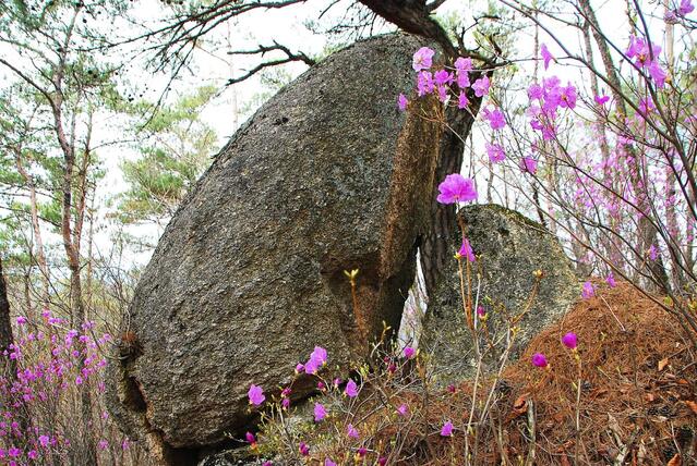 ▲ 쌀개봉의 쌀 바위.ⓒ진경수 山 애호가