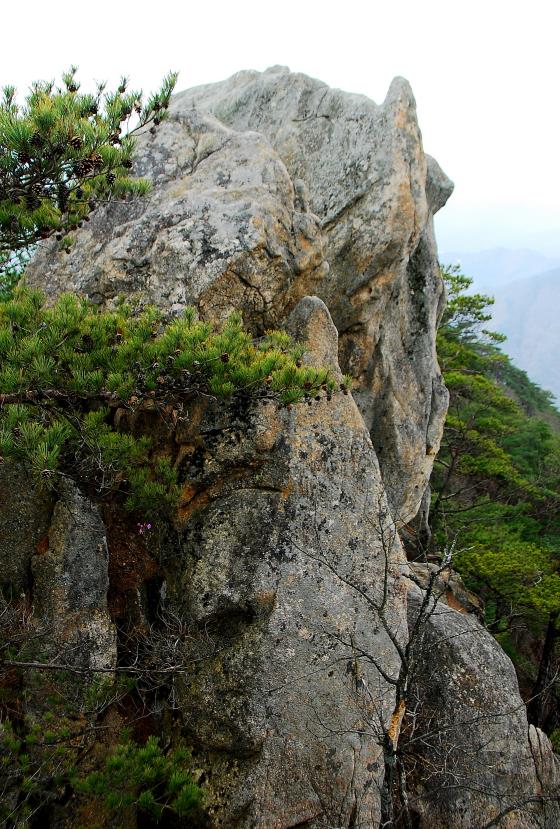 ▲ 쌀개봉의 명물, 코뿔소 바위.ⓒ진경수 山 애호가