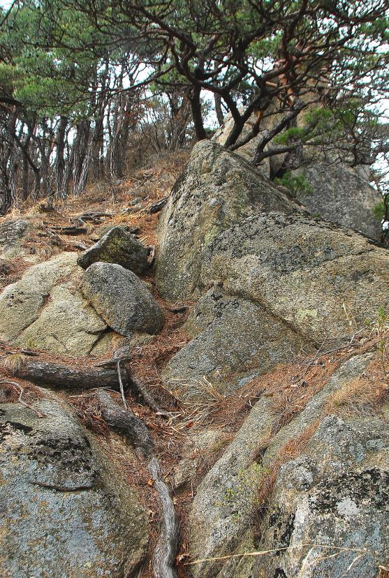 ▲ 하산하면서 돌아본 남릉 코스.ⓒ진경수 山 애호가