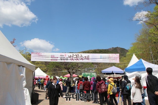 ▲ 제12회 팔공산 벚꽃축제가 6일부터 9일까지 4일간 팔공산 동화지구 분수대광장에서 많은 지역주민이 참가한 가운데 열렸다.ⓒ뉴데일리