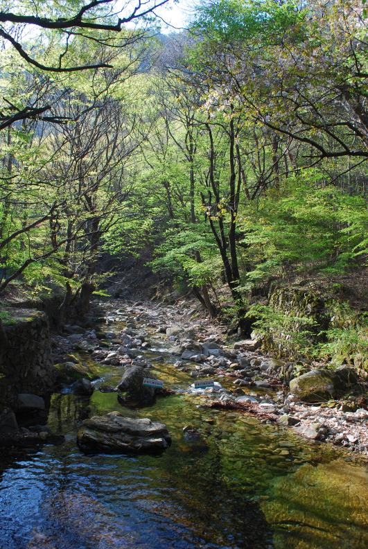 ▲ 동학사로 이어지는 맑고 싱그러운 계곡.ⓒ진경수 山 애호가