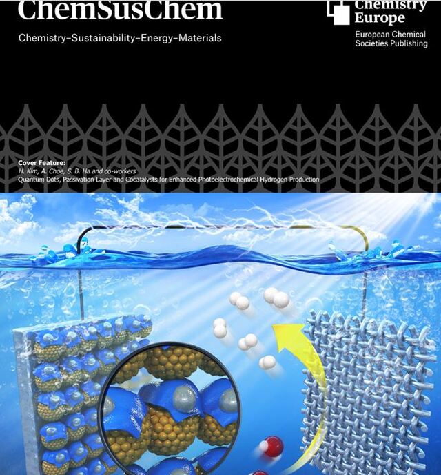 ▲ 최아영 학생이 공동 제1저자로 참여한 “Quantum Dots, Passivation Layer and Cocatalysts for Enhanced Photoelectrochemical Hydrogen Production” 논문의 저널 커버이미지.ⓒDGIS