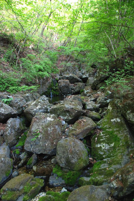 ▲ 이끼를 잔뜩 머금은 박달산 계곡.ⓒ진경수 山 애호가