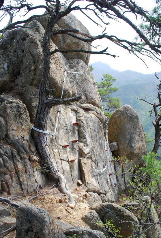 ▲ 암릉 길을 가로막고 있는 적층 바위를 휘돌아 타고 넘는다.ⓒ진경수 山 애호가