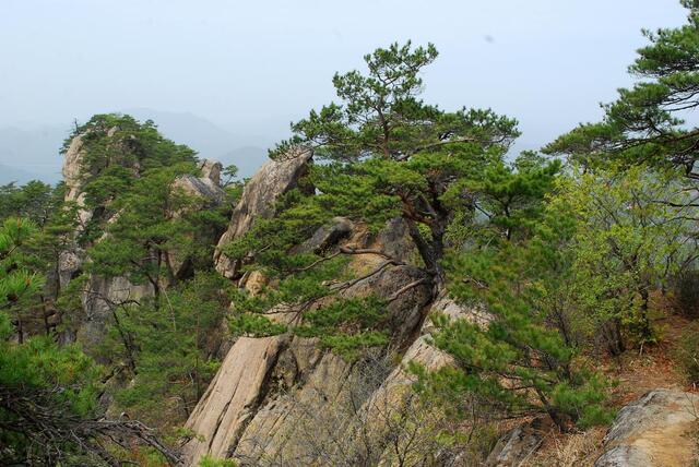 ▲ 킹콩 바위가 벼랑에 가까스로 붙어있다.ⓒ진경수 山 애호가