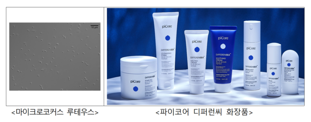 ▲ (왼)해양미생물 '마이크로코커스 루테우스'와 '파이코어 디퍼런씨' 화장품. ⓒ해양수산부