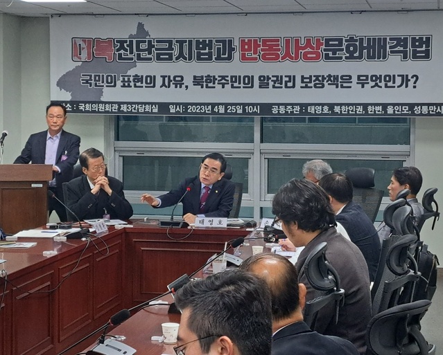 ▲ 한변이 25일 오전 국회의원회관에서 개최한 '대북전단금지법과 반동사상문화배격법' 토론회에서 태영호 국민의힘 최고위원이 발언하고 있다.ⓒ서영준 기자